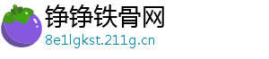 铮铮铁骨网